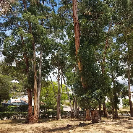 Remodelada Nos Jardins Da Balaia * 알부페이라